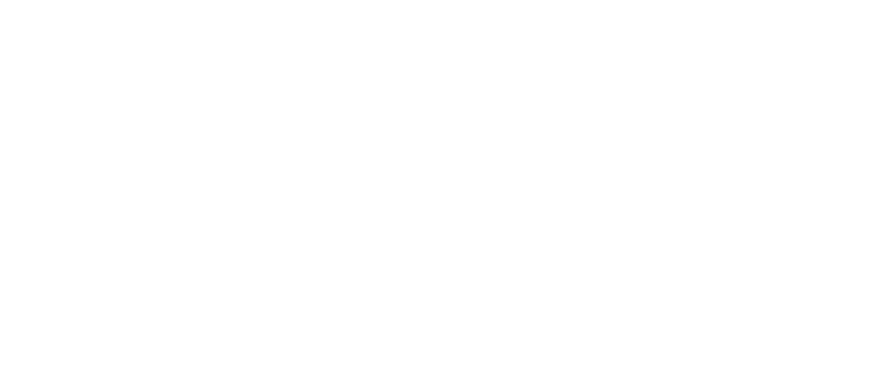 ДаНС